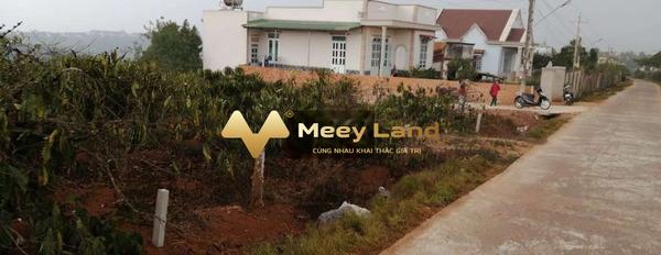 Cần tiền ngay bán mảnh đất, 250 m2 giá bán từ 550 triệu ngay tại Di Linh, Lâm Đồng tiện ích bao phê-02