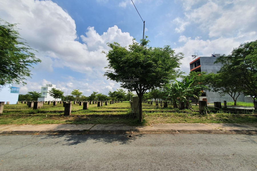 Nhơn Đức Nhà Bè, Hồ Chí Minh bán đất giá hiện tại chỉ 3.3 tỷ có diện tích rộng 95m2-01