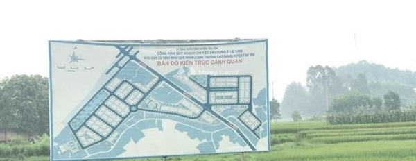 Có nhu cầu bán đất Tân Yên, Bắc Giang giá bán khởi đầu chỉ 1.2 tỷ diện tích sàn là 96m2-03