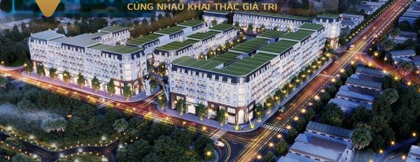 Giá bán hiện tại chỉ 781.56 tỷ bán biệt thự dt tầm trung 26052 m2 vị trí mặt tiền ở Hoàng Liên, Lào Cai-02