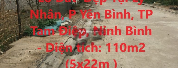 Bán đất tại Yên Bình, Tam Điệp. Diện tích 110m2-03