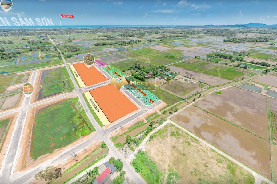 Bán đất tại Quảng Đức, Quảng Xương, Thanh Hóa. Diện tích 120m2, giá thương lượng-01