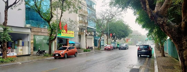 Hướng Đông - Nam, bán nhà có diện tích 99m2 nằm ngay bên trong Việt Hưng, Hà Nội giá bán công khai chỉ 25 tỷ tổng quan có 3 PN, 3 WC-03