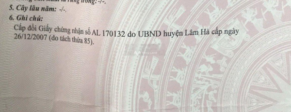 Nằm tại Đông Thanh, Lâm Hà bán đất, giá bán sang tên 1.4 tỷ có diện tích 511m2-03