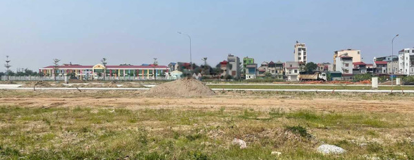 Vị trí mặt tiền ngay Yên Phong, Bắc Ninh bán đất giá bán tốt bất ngờ 4.65 tỷ tổng diện tích là 172.4m2-03