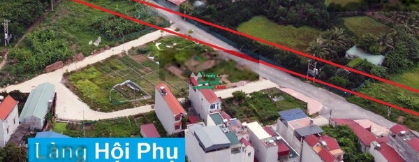 Công việc cấp bách bán mảnh đất, 96m2 vị trí thuận lợi tại Hội Phụ, Đông Hội tin chính chủ-02