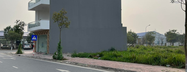 Bán đất khu dân cư Nguyễn Lương Bằng, Hải Dương, 60,75m2, mặt tiền 4,5m, đường 13,5m, chỉ 2,6x tỷ-02
