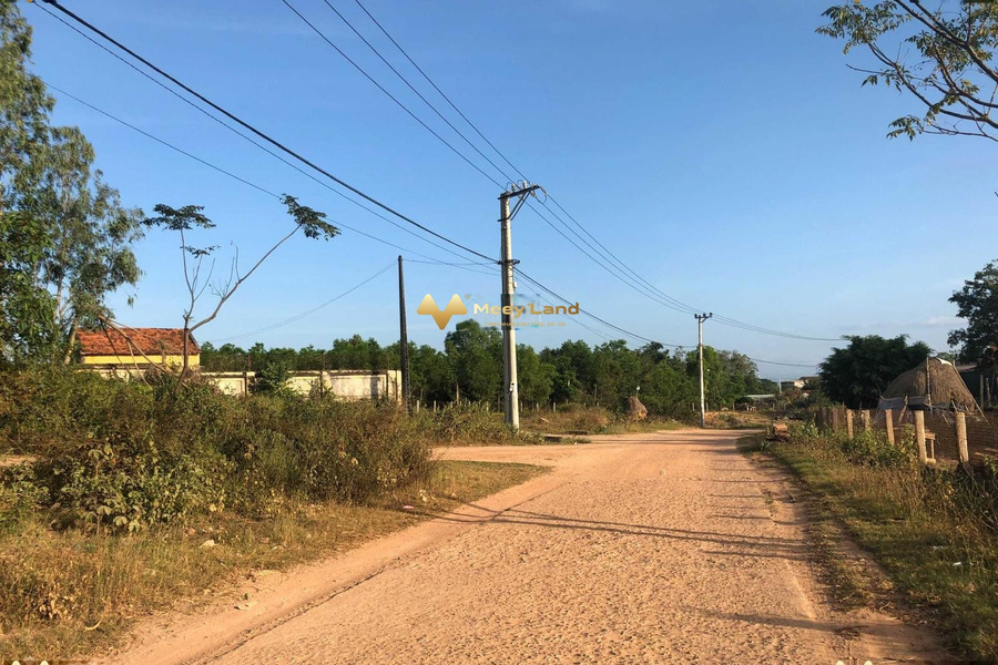 Bán đất dt dài 150 m2 vị trí thuận lợi tọa lạc trên Huyện Tây Sơn, Tỉnh Bình Định, hướng Tây-01