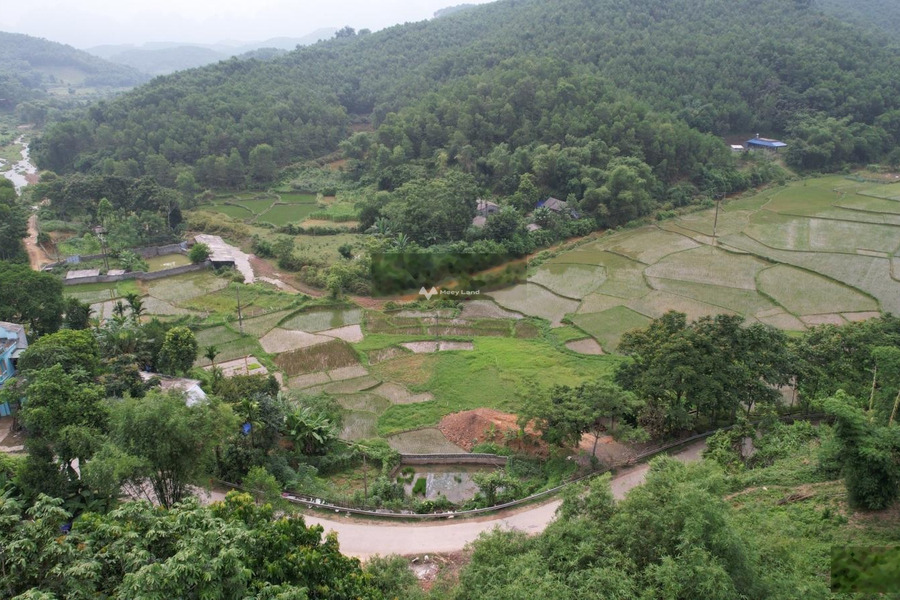 Khoảng 1.3 tỷ bán đất có một diện tích là 242m2 vị trí đặt tại trung tâm Kim Bôi, Hòa Bình-01