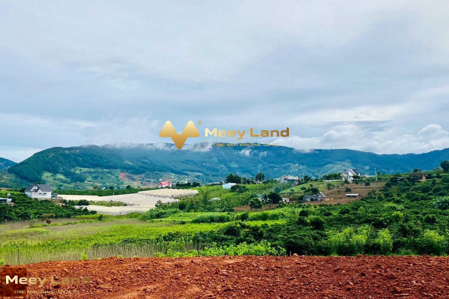 Bán đất có diện tích 508m2 vị trí đẹp nằm tại xã Đông Thanh, tỉnh Lâm Đồng gọi ngay-01