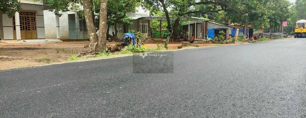 Tại A Dơk, Gia Lai bán đất 690 triệu diện tích 630m2-03