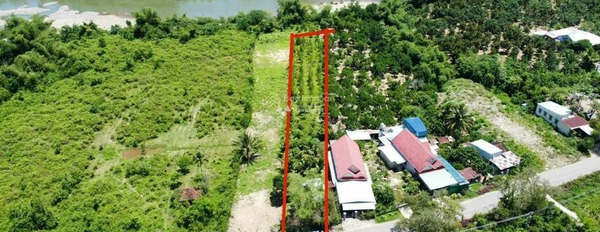 3.75 tỷ bán đất có diện tích tổng 2207m2 vị trí đặt vị trí nằm ở Khánh Vĩnh, Khánh Hòa-02