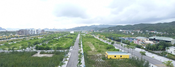 Dự án tọa lạc gần Phương Đông, bán liền kề mặt tiền tọa lạc gần Vân Đồn, Quảng Ninh bán ngay với giá hữu nghị chỉ 12.77 tỷ diện tích thực là 300m2-02