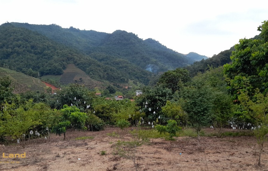 Chính chủ cần bán mảnh đất 3.000m2 tại Mường Sang, ngay thác Dải Yếm, cách mặt đường Quốc lộ 43 500m, giá đầu tư-01