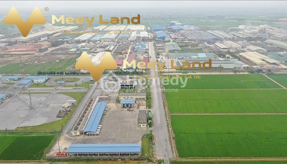Cần tiền gấp về quê bán đất Tây Giang, Tiền Hải giá bán liền chỉ 1.45 tỷ dt thực là 100 m2-01