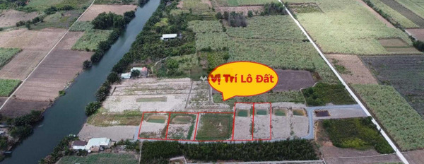 Giá hữu nghị chỉ 1.7 tỷ, Bán đất diện tích rộng rãi 1000m2 ngay tại Phước Khánh, Đồng Nai nói không với trung gian-03