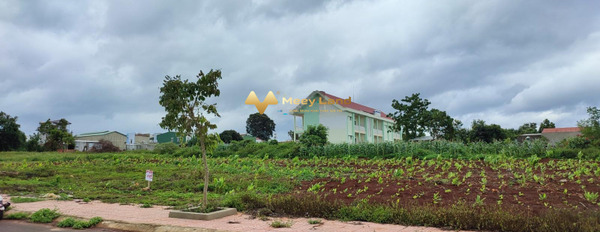 Buôn Hồ, Đắk Lắk bán đất giá cực rẻ chỉ 899 triệu diện tích mặt tiền 150 m2-02