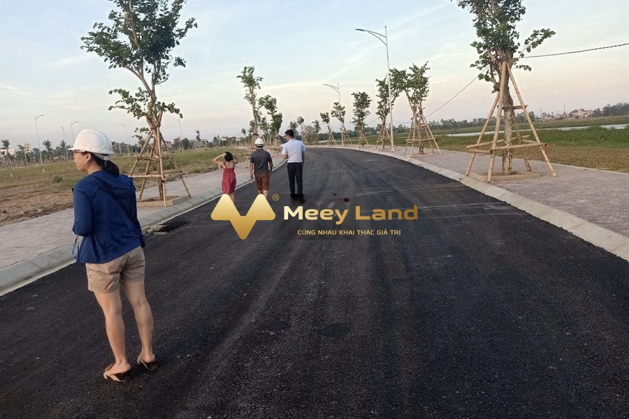 Bán đất 119m2 tại Đậu Liêu, Hà Tĩnh, giá 1,25 tỷ-01