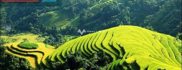 Mường Hoa, Lào Cai 22.5 tỷ bán đất có diện tích 5000m2-03