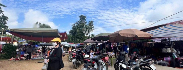 Vĩnh Long, Thanh Hóa bán đất giá bán siêu khủng 300 triệu tổng diện tích 175m2-02
