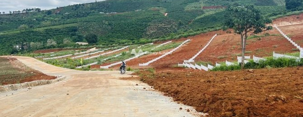 Bán đất 1.59 tỷ Nam Ban, Lâm Đồng có diện tích gồm 741m2, ngõ có độ ngang 4 mét-03