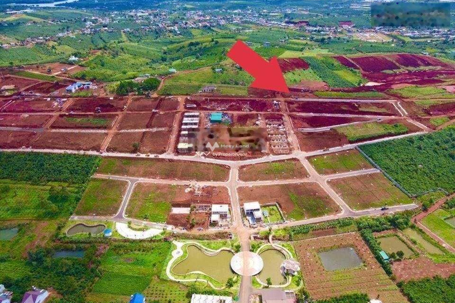 Lộc Quảng, Lâm Đồng 3.75 tỷ bán đất diện tích dài 500m2-01