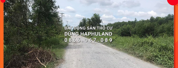 Đất lô góc 2 mặt tiền đường 16m 1856m2 Nguyễn Văn Bứa, Hóc Môn-02