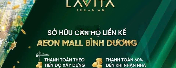 Chung cư 1 phòng ngủ, bán căn hộ hướng Tây - Nam bên trong Thuận An, Bình Dương, căn này gồm 1 phòng ngủ, 1 WC vị trí đắc địa-02