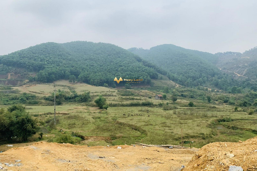 Nằm tại Xã Tiến Xuân, Huyện Thạch Thất bán đất, giá siêu rẻ chỉ 33 tỷ diện tích chung là 2748m2-01