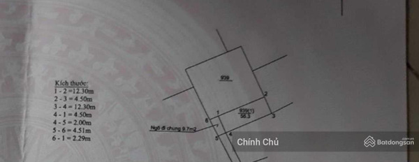 Chính chủ bán đất tặng nhà cấp 4. Mảnh đất 65m2 tại Nguyễn Văn Linh, Phúc Đồng, Long Biên -03