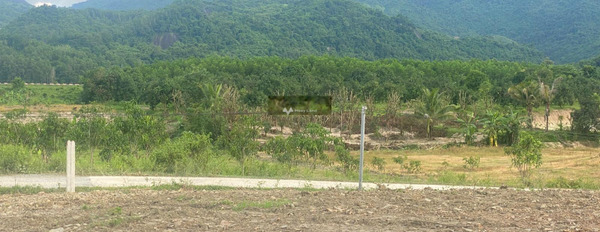 Do dịch bệnh bán mảnh đất, 600m2 giá siêu rẻ 295 triệu nằm ở Diên Khánh, Khánh Hòa giá có thể fix-02