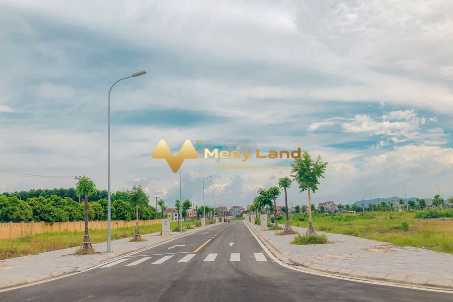 Giá cực mềm 2.02 tỷ, Bán đất dt là 90 m2 vị trí đẹp ngay tại Bắc Giang, Bắc Giang giao thông đông đúc-01