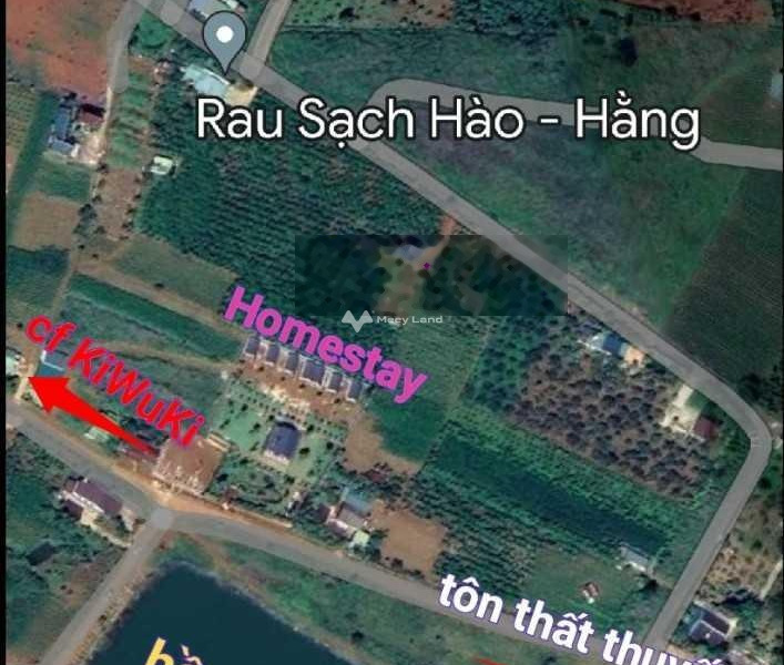Khoảng 2.8 tỷ bán đất diện tích rộng là 1120m2 vị trí mặt tiền tọa lạc tại Lý Thái Tổ, Lâm Đồng-01