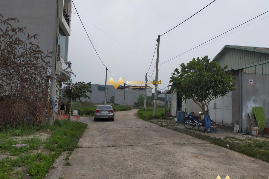 Bán đất dt chuẩn là 95.4 m2 vị trí thích hợp Phường Thanh Miếu, Tỉnh Phú Thọ-01