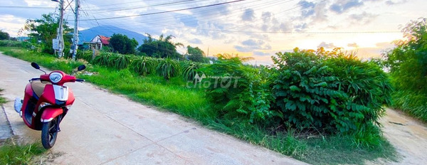 Ở Hàm Thuận Nam, Bình Thuận bán đất 5.9 tỷ có diện tích là 1924m2-03