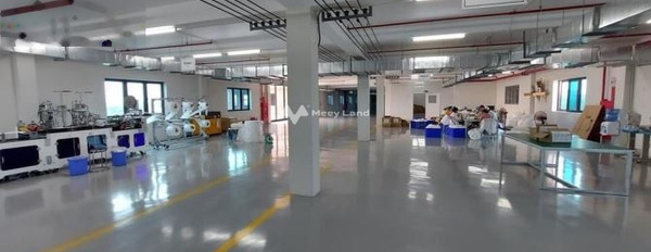 Vị trí đẹp ngay Quốc Oai, Hà Nội cho thuê kho bãi 3000m2 giá thuê cực êm 195 triệu/tháng lộ trước nhà ngang 50 mét giá tốt nhất-03