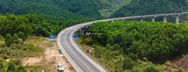 Bán đất 11 tỷ Suối Mơ, Hòa Sơn với tổng diện tích 7200m2-02