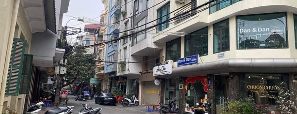 Bán đất tặng nhà mặt phố Mạc Đĩnh Chi quận Ba Đình, 80m2, mặt tiền 19m, nhỉnh 38 tỷ-03