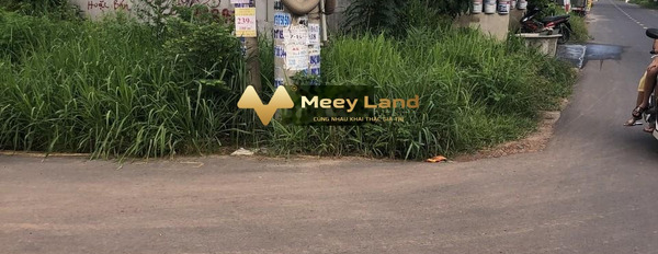 Phước Thái, Đồng Nai bán đất diện tích là 120.2 m2-02