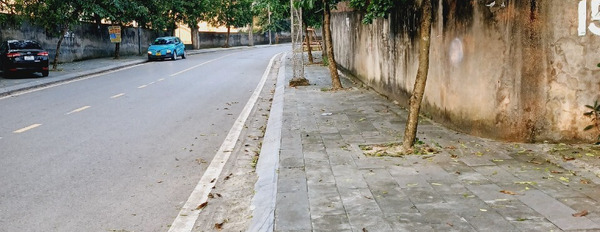 Cần bán có nhà trên đất hơn 1000m2, full bám mặt đường phố đi bộ Nguyễn Cấu, giá thấp hơn-03