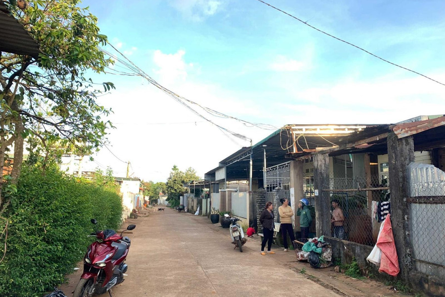 Đinh Công Tráng, Krông Pắc 790 triệu bán đất diện tích tiêu chuẩn 275m2-01