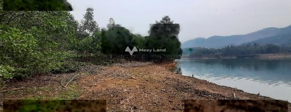 Bán đất rừng sản xuất view hồ Lập Đinh phù hợp làm du lịch nghỉ dưỡng cực kì sang trọng-03