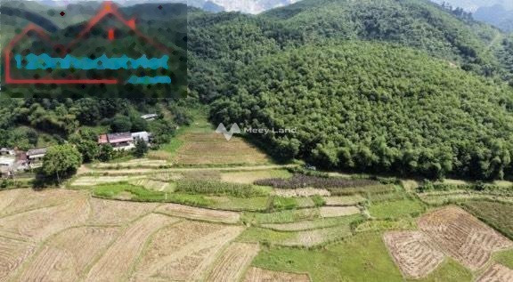 Chính chủ cần bán gấp lô đất rừng có view cánh đồng giá cực rẻ tại Lương Sơn Hòa Bình hỗ trợ pháp lý-01