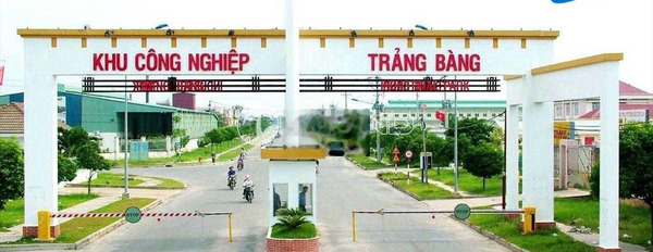 Bán Gấp lô120m2 thổ cư ngay trung tâm thị xã Trảng Bàng SHR Giá700TR -02