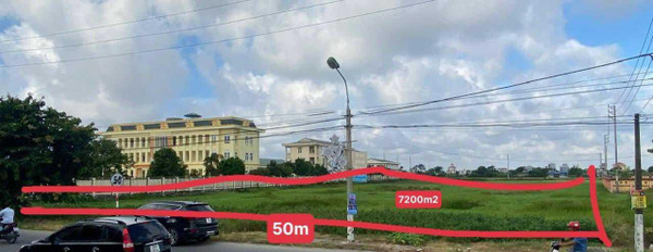 Mặt đường lớn 50m thị trấn Ngô Đồng – Giao Thủy – Nam Định-02