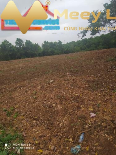 Cần bán gấp đất Lương Sơn, Hòa Bình 3600m2, giá 6,2 tỷ vị trí siêu đẹp-01