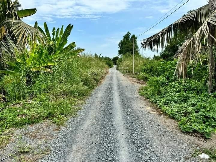 Đất cập mặt tiền sông Vàm Cỏ Đông thổ và vườn mua làm nhà vườn thì tuyệt vời luôn -01