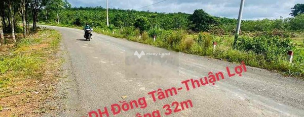 Bán đất 450 triệu Thuận Lợi, Bình Phước diện tích chính là 250m2-02