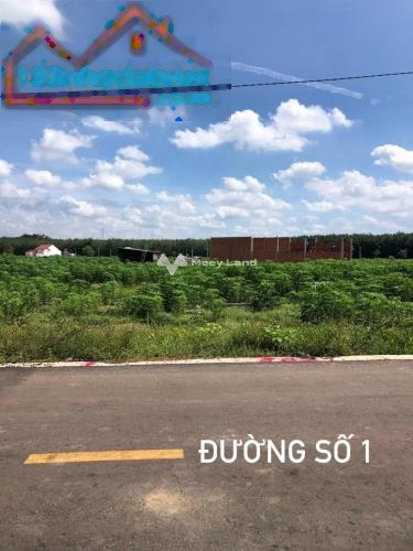 Tại Chơn Thành, Bình Phước bán đất 460 triệu diện tích vừa phải 200m2-01