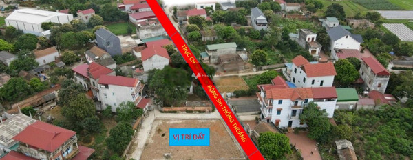 Bán đất giá 2,2 tỷ tại Sóc Sơn, Hà Nội-02